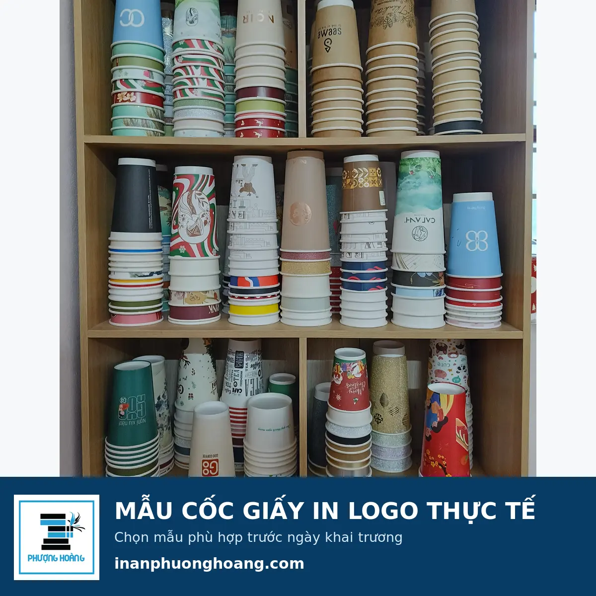 Mẫu cốc giấy in logo thực tế cho quán cà phê và trà sữa