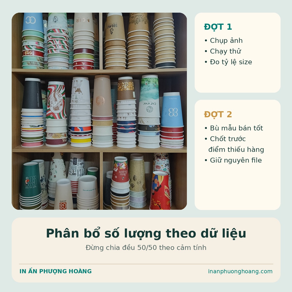 Phân bổ số lượng cốc theo từng đợt